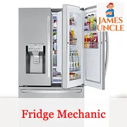 Fridge mechanic Mr. Subhas Chandra Mondal in Mallarpur